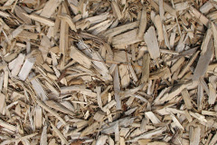 biomass boilers Whitgift
